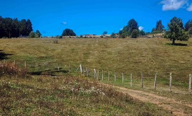 Campo de 99,8 hectáreas en venta cerca de Valdivia – praderas, bosque nativo, estero y cascadas en Los Guindo