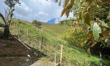 Alquilo Casa Campestre en Av. Condina Pereira