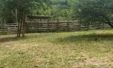 En venta, finca de 20 Hectáreas en la Provincia de Esmeraldas. Ecuador.