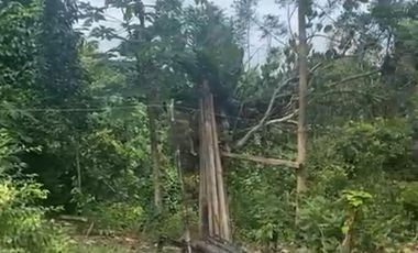 En venta, finca de 20 Hectáreas en la Provincia de Esmeraldas. Ecuador.