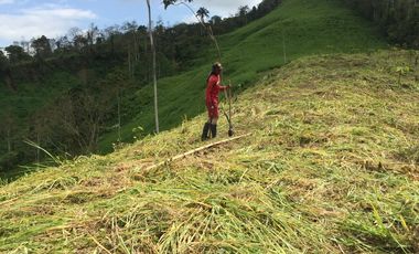 En venta, finca de 20 Hectáreas en la Provincia de Esmeraldas. Ecuador.