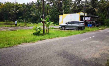 Tanah SHM 4000m2 di tepi Jalan Aspal, cocok untuk Gudang atau Usaha