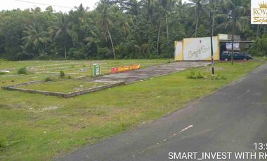Tanah SHM 4000m2 di tepi Jalan Aspal, cocok untuk Gudang atau Usaha