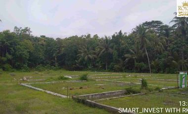Tanah SHM 4000m2 di tepi Jalan Aspal, cocok untuk Gudang atau Usaha