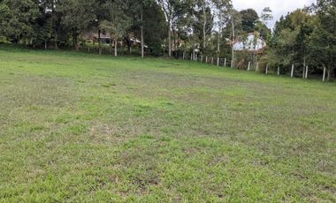 SE VENDE LOTE EN LA MESA DE LOS SANTOS