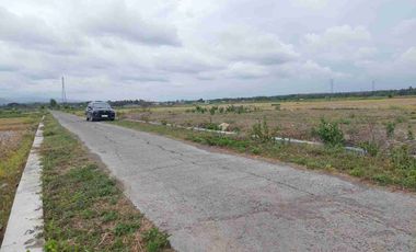 Tanah Hook SHM 1200m2 LD 50 View Sawah, Istimewa