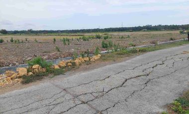 Tanah Hook SHM 1200m2 LD 50 View Sawah, Istimewa