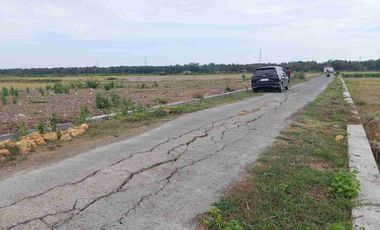 Tanah Hook SHM 1200m2 LD 50 View Sawah, Istimewa