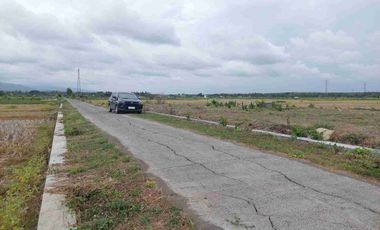 Tanah Hook SHM 1200m2 LD 50 View Sawah, Istimewa