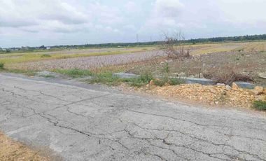 Tanah Hook SHM 1200m2 LD 50 View Sawah, Istimewa