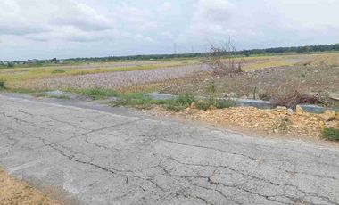Tanah Hook SHM 1200m2 LD 50 View Sawah, Istimewa