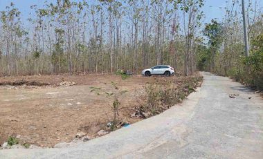 Tanah SHMP 6000m2, Selatan Polres Kulonprogo