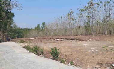 Tanah SHMP 6000m2, Selatan Polres Kulonprogo