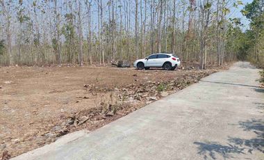 Tanah SHMP 6000m2, Selatan Polres Kulonprogo