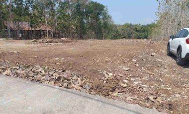 Tanah SHMP 6000m2, Selatan Polres Kulonprogo