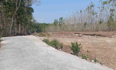 Tanah SHMP 6000m2, Selatan Polres Kulonprogo