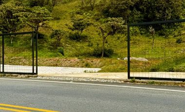 LOTE - MALL A BORDO DE VÍA LAS PALMAS