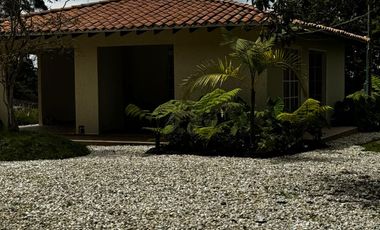 LOTE - MALL A BORDO DE VÍA LAS PALMAS