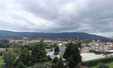 Arriendo apartaestudio milla de oro.