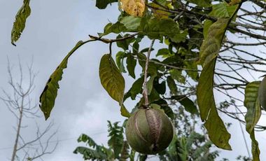 Hermosa finca colonial en venta con espectacular vista.