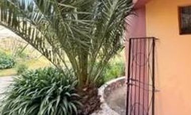 Huerta en venta en Real de Catorce