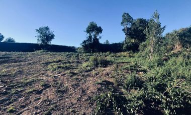 Venta de Parcela 5.000 m² – Sector Cutipay Alto, Valdivia