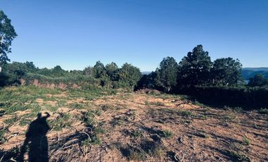 Venta de Parcela 5.000 m² – Sector Cutipay Alto, Valdivia