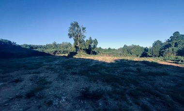 Venta de Parcela 5.000 m² – Sector Cutipay Alto, Valdivia