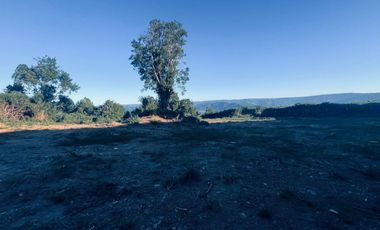 Venta de Parcela 5.000 m² – Sector Cutipay Alto, Valdivia