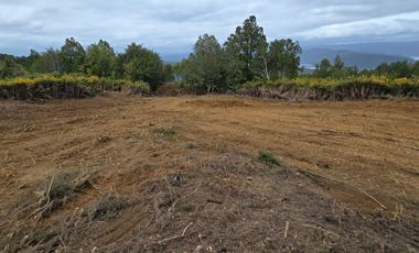 Venta de Parcela 5.000 m² – Sector Cutipay Alto, Valdivia
