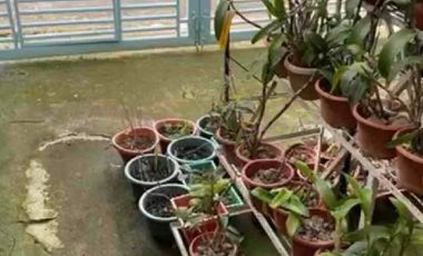 3Bedrooms Lovely House and Lot for Sale Oasis Mansilingan Bacolod City