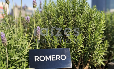 Estupendo loft amueblado en lCON Roma, con balcón.
