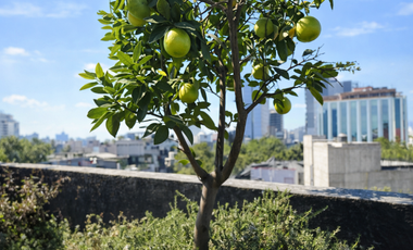 Estupendo loft amueblado en lCON Roma, con balcón.