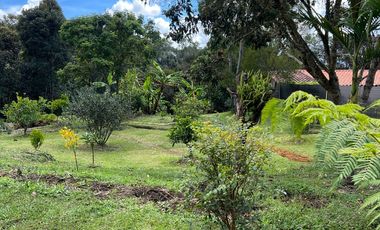 Finca en venta – Vereda Alto de la Virgen, Rionegro / Guarne (Antioquia)