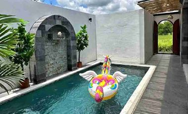 Di jual villa lodtunduh ubud sangat cocok untuk komersil