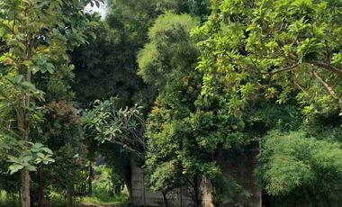 Kavling Murah  Siap Bangun di Bsd Griya Lola sector 1.4