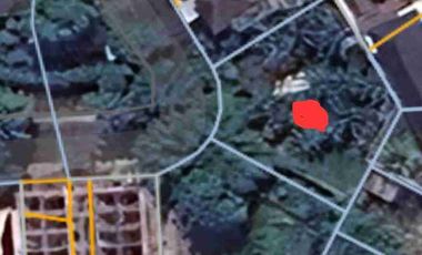 Kavling Murah  Siap Bangun di Bsd Griya Lola sector 1.4