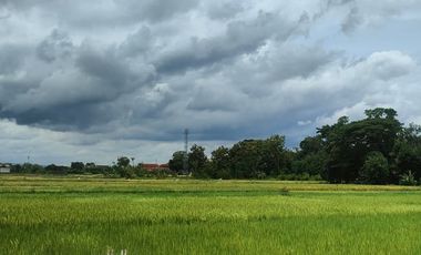 RUMAH MURAH 400 JUTAAN DI BERBAH SLEMAN JOGJA