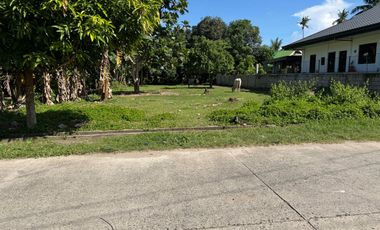 Residential Lot for sale in Calabnugan, Sibulan, Negros Oriental