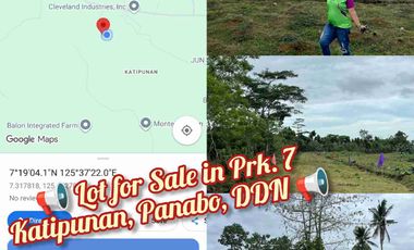 Transfer Certificate of Title