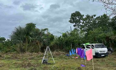 Transfer Certificate of Title