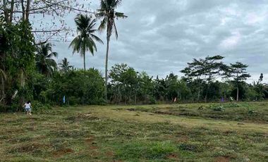 Transfer Certificate of Title