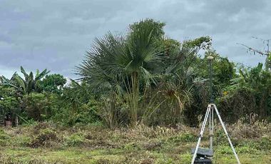 Transfer Certificate of Title