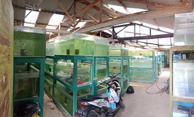 RUMAH TERNAK IKAN LUAS  BERSIH STRATEGIS DI KOPO KATAPANG BANDUNG