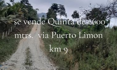 VENTA DE QUINTA EN VIA PUERTO LIMON KM9