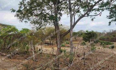 VENTA 4HAS KM 23 VÍA A LA COSTA