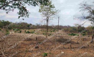 VENTA 4HAS KM 23 VÍA A LA COSTA