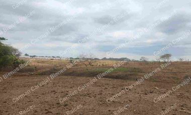 VENTA 4HAS KM 23 VÍA A LA COSTA