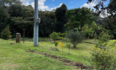 Finca en venta – Vereda Alto de la Virgen, Rionegro / Guarne (Antioquia)