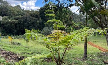 Finca en venta – Vereda Alto de la Virgen, Rionegro / Guarne (Antioquia)